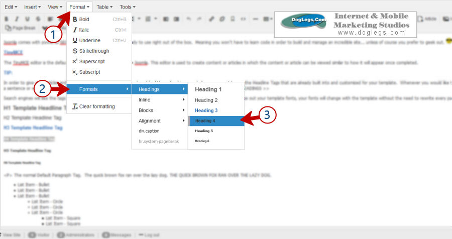 Headline Tag Examples